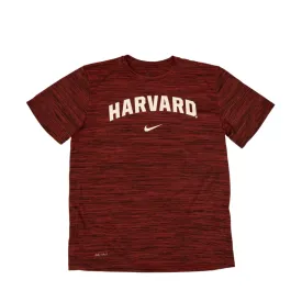 Nike Velocity Tee
