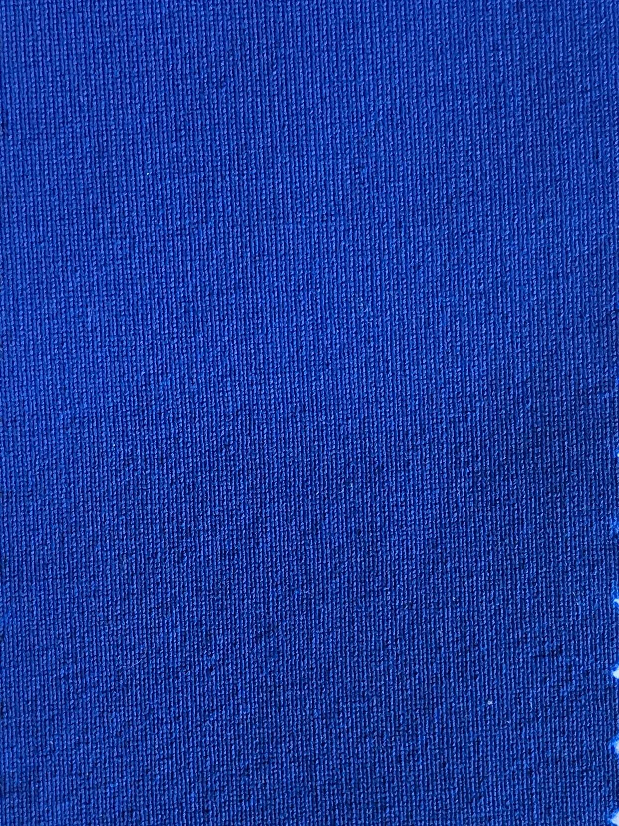 Royal Premium Athletic Nylon/Spandex